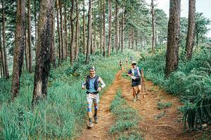 BIB: 
                            <button type="button" onclick="openModal(25697505)" class="btn btn-primary btn-sm float-right btn-popup" data-toggle="modal" data-target=".modal-high-quality">
                        <i class="fas fa-shopping-cart"></i> Add to Cart
                    </button>
                                            <button type="button" onclick="isThisMe(25697505, true)" class="btn btn-success btn-sm float-right btn-popup btn-isme hidden" data-toggle="tooltip" data-placement="bottom" title="นี่คือรูปของคุณใช่ไหม คลิกที่นี่เพื่อเอาเข้าอัลบั้ม">
                        <i class="fas fa-plus"></i> Add to album
                    </button>
                    <button type="button" onclick="isThisMe(25697505, false)" class="btn btn-warning btn-sm float-right btn-popup btn-isnotme hidden">
                        <i class="fas fa-ban"></i> Remove from album
                    </button>